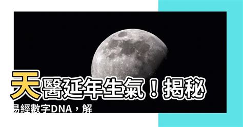 生氣天醫延年|【天醫 延年 生氣】解鎖你的數字運勢：天醫、延年、生氣號碼全。